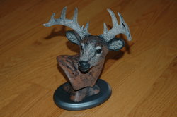First Timer Buck Bank 2