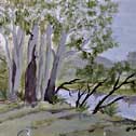 Trish Gill